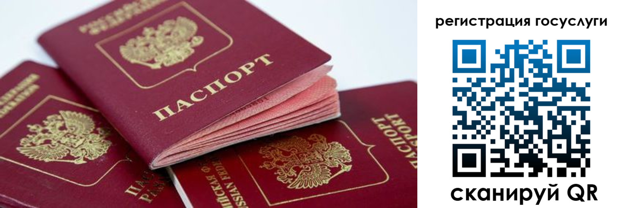 прописка в квартире в Тайге
